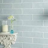Handmade Duck Egg Ceramic Wall 75x300mm