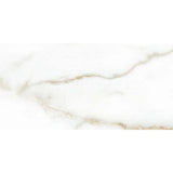 Goldman Matt Ceramic 300x600mm