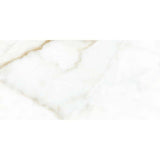 Goldman Gloss Ceramic 300x600mm